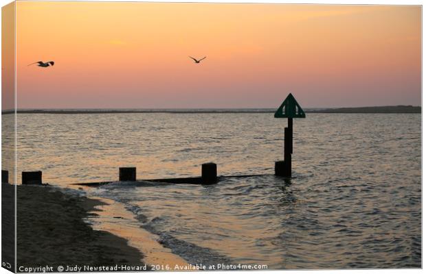 Gulls and Groynes at Sunset Canvas Print by Judy Newstead-Howard