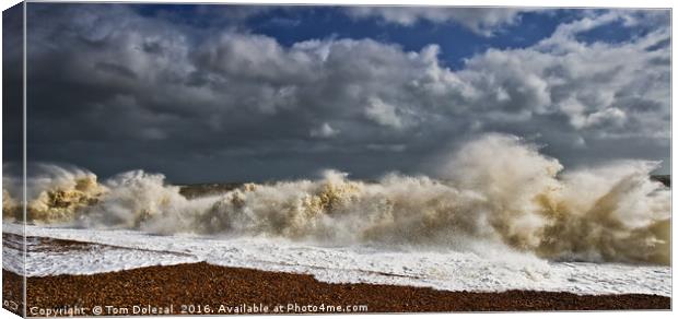 Stormy day at Dungeness Canvas Print by Tom Dolezal