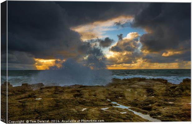 Lava field meets the sea Canvas Print by Tom Dolezal