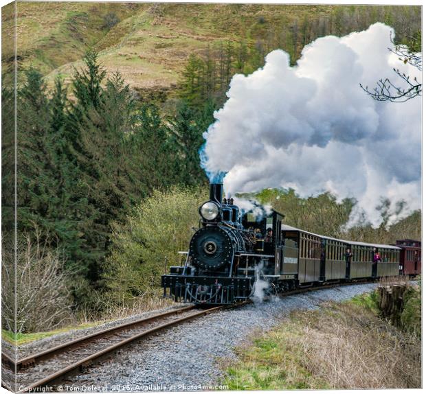  Brecon Mountain Railway steam train Canvas Print by Tom Dolezal