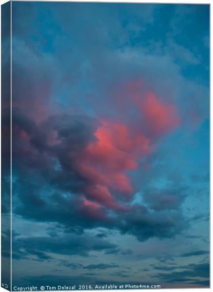 Sunset on a Cumulus cloud  Canvas Print by Tom Dolezal