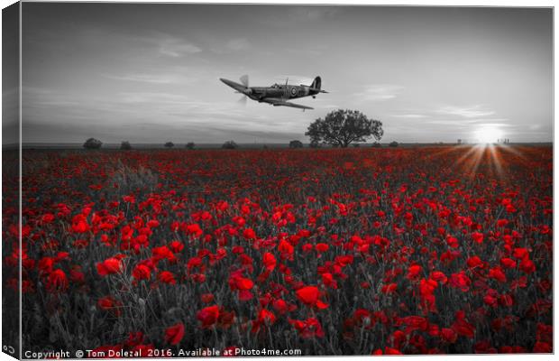 Spitfire over a field of poppies. Canvas Print by Tom Dolezal