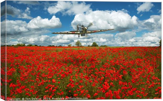 Hurricane over a field of poppies. Canvas Print by Tom Dolezal