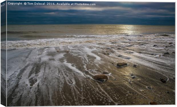 Outgoing winter tide Canvas Print by Tom Dolezal