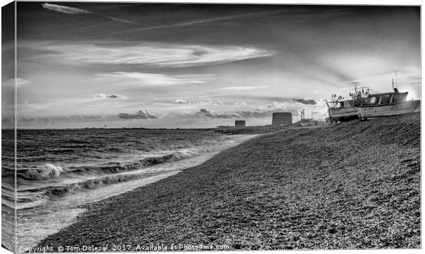 View along Fishermans beach  Canvas Print by Tom Dolezal