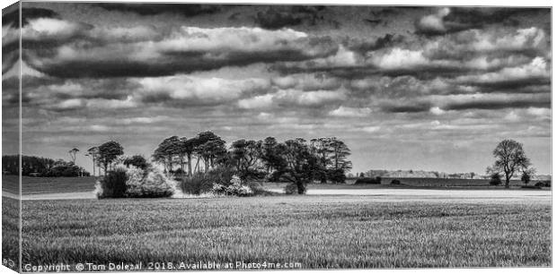 Kentish Sky Canvas Print by Tom Dolezal