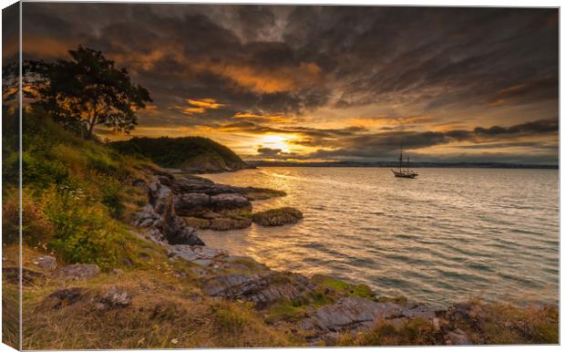 The Lone Ship Canvas Print by Nigel Martin