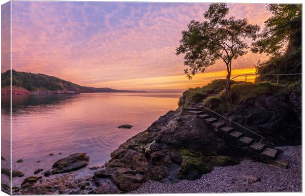 The Lonely Tree Canvas Print by Nigel Martin