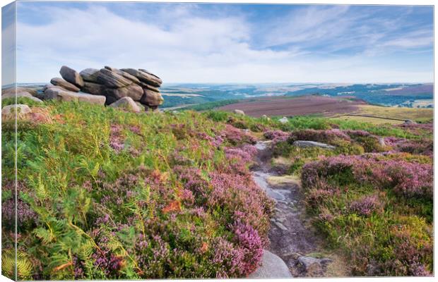 Higger Tor in the Derbyshire Peak district, UK. Summer moorland with heather Canvas Print by Jeanette Teare