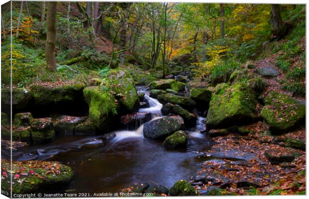 Padley Gorge waterfalls, autumn leaves and moss covered rocks in the Peak District Canvas Print by Jeanette Teare