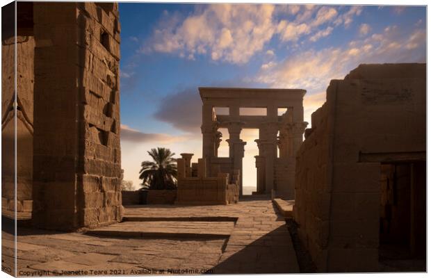 Philae Temple, Aswan, Egypt Canvas Print by Jeanette Teare