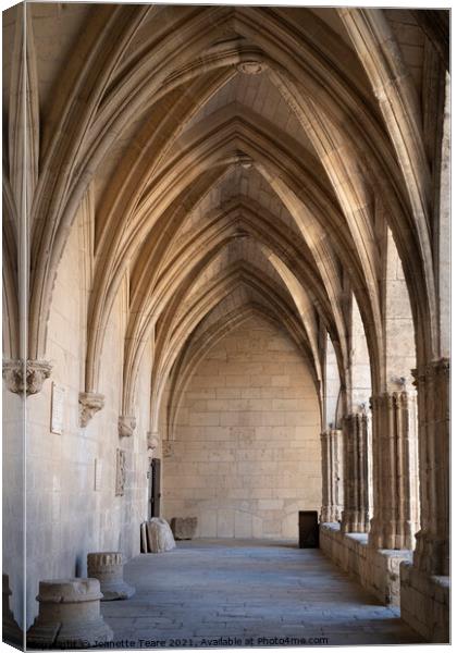 Receding arches Canvas Print by Jeanette Teare