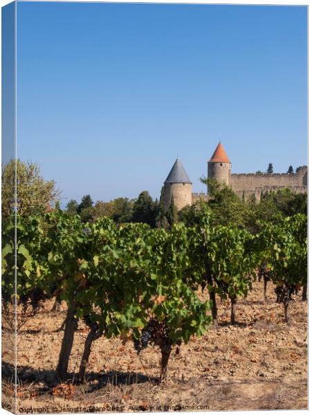 Carcassonne vineyard Canvas Print by Jeanette Teare