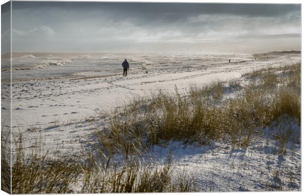 Person walking on a snowy beach Canvas Print by GILL KENNETT