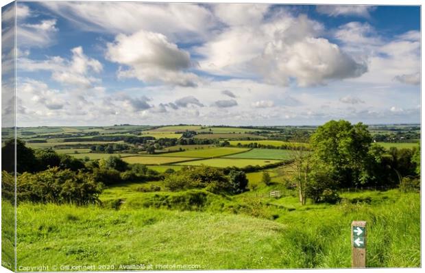 Lincolnshire Wolds Canvas Print by GILL KENNETT