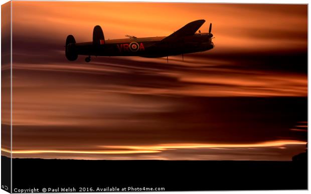 Born To Fly Canvas Print by Paul Welsh