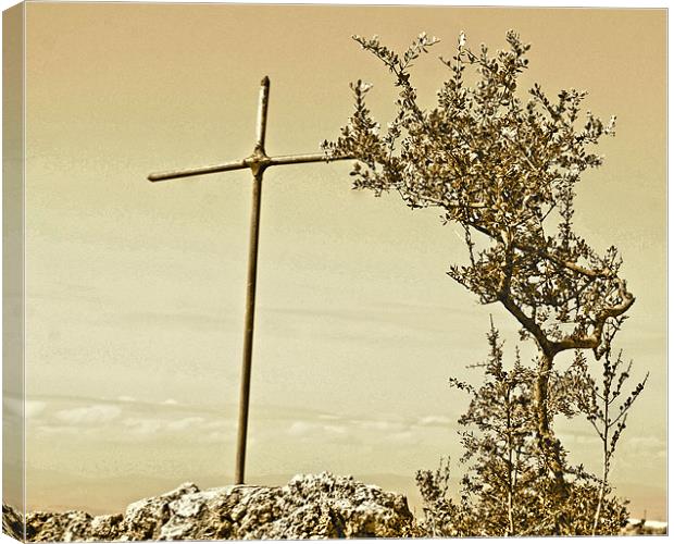 Cross and Thorns Canvas Print by Brian Spooner