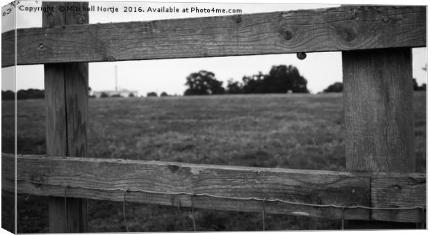 Wooden fence with snail Canvas Print by Mitchell Nortje