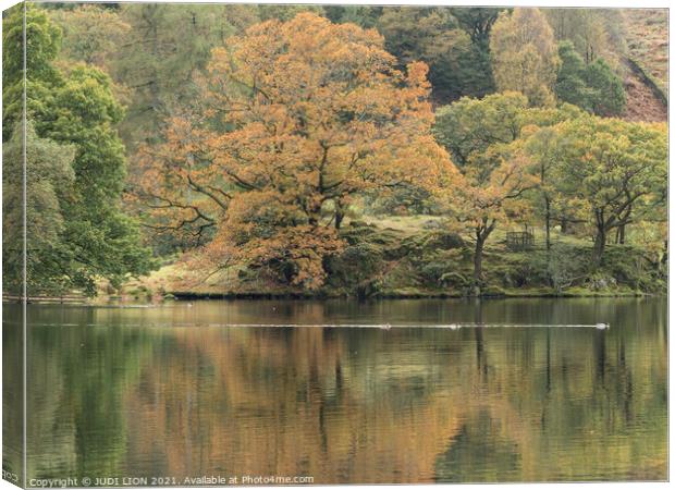 Autumn at Loughrigg Tarn Canvas Print by JUDI LION