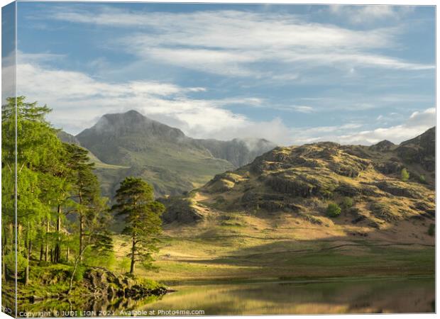 Blea Tarn morning Canvas Print by JUDI LION