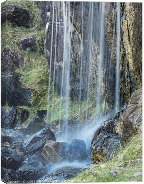 Curtain of Water Canvas Print by JUDI LION