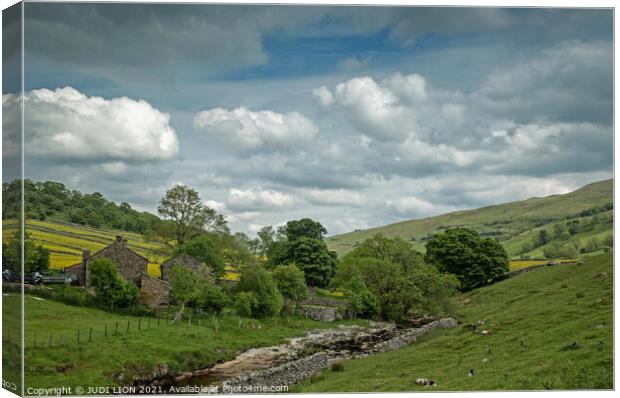 Green valley in Yorkshire Dales Canvas Print by JUDI LION