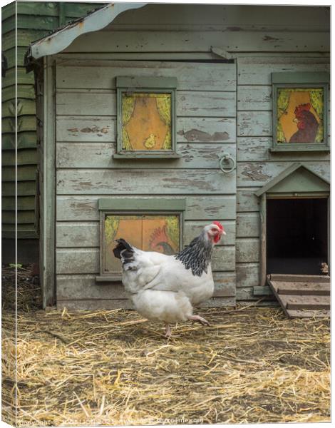 Hen and posh house Canvas Print by JUDI LION