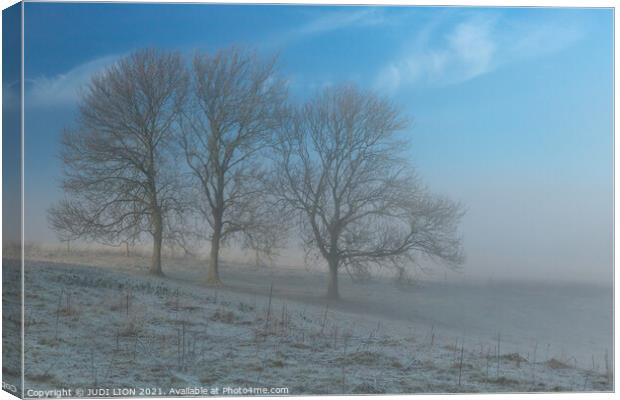 Three trees on a frosty and misty morning Canvas Print by JUDI LION
