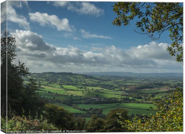 View to the Black Mountains Canvas Print by JUDI LION