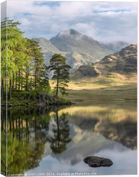 Early morning at Blea Tarn in the Lake District Canvas Print by JUDI LION