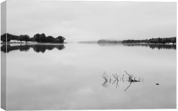 Reflection of branch in Coniston Water  Canvas Print by Steve Heap
