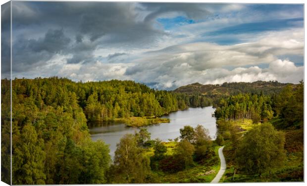 View over Tarn Hows in English Lake District Canvas Print by Steve Heap