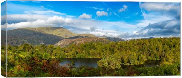 Panorama of Tarn Hows in English Lake District Canvas Print by Steve Heap