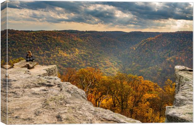 Female Hiker overlooks forest at Coopers Rock WV Canvas Print by Steve Heap
