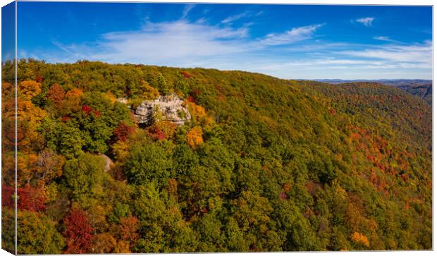 Panorama of Coopers Rock state park overlook over the Cheat Rive Canvas Print by Steve Heap