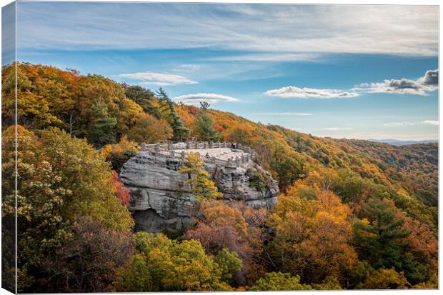 Coopers Rock state park overlook over the Cheat River in West Vi Canvas Print by Steve Heap