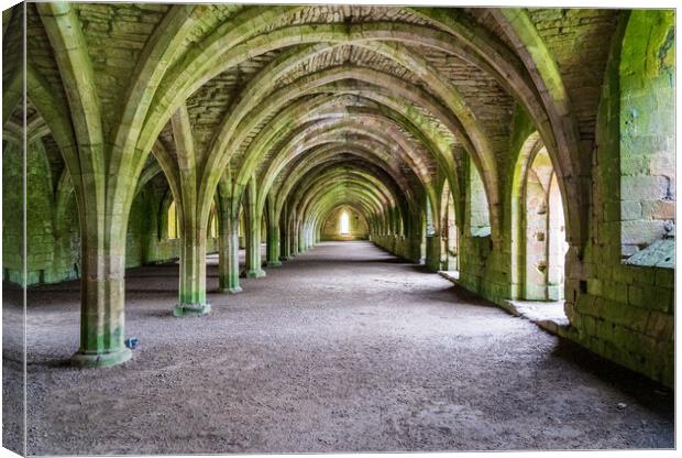 Cellarium at Fountains Abbey ruins in Yorkshire, England Canvas Print by Steve Heap