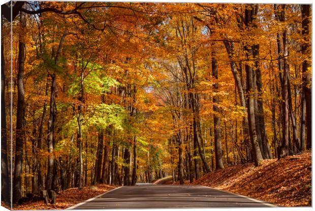 Road leading to Coopers Rock state park Canvas Print by Steve Heap