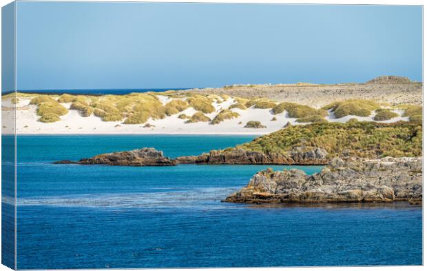 White sandy beaches near Port Stanley on Falkland Islands on sun Canvas Print by Steve Heap
