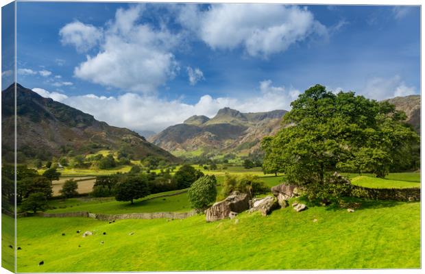Langdale Pikes in Lake District Canvas Print by Steve Heap