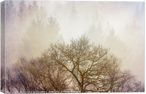 Misty Forest Canvas Print by Jackie Davies