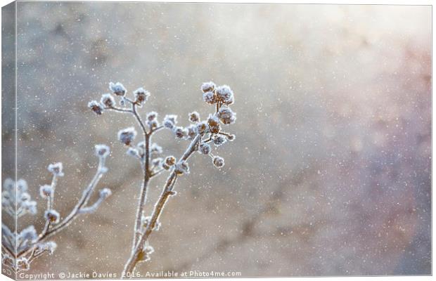 Fantasy Snow Scene Canvas Print by Jackie Davies