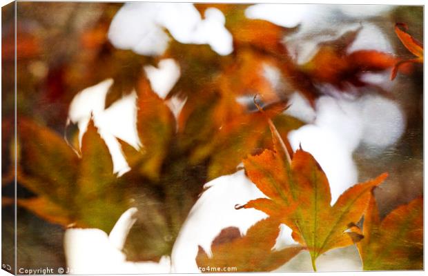 Autumn Twist Canvas Print by Jackie Davies