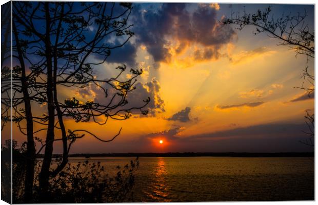 As the sun sets Canvas Print by Indranil Bhattacharjee