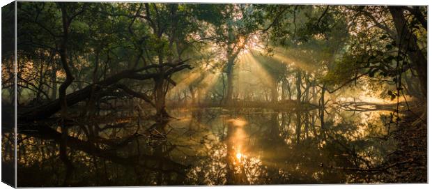 Rays from heaven Canvas Print by Indranil Bhattacharjee