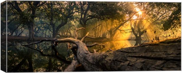 A Heavenly Morning at Keoladeo Canvas Print by Indranil Bhattacharjee