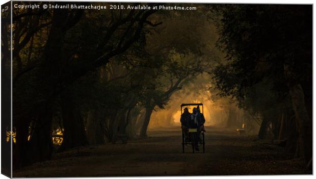 A Misty Morning at Keoladeo Canvas Print by Indranil Bhattacharjee