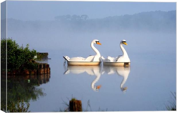 Not really swans in the mist        Canvas Print by Peter Balfour