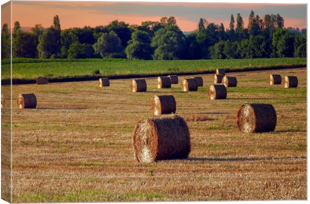 Evening rolls    Canvas Print by Peter Balfour