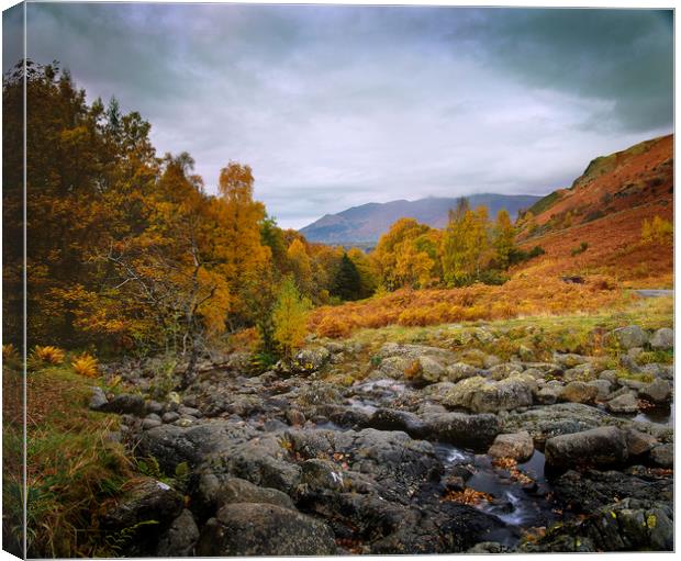 Lake District from Ashness Bridge towards Scafell, Canvas Print by David Bigwood